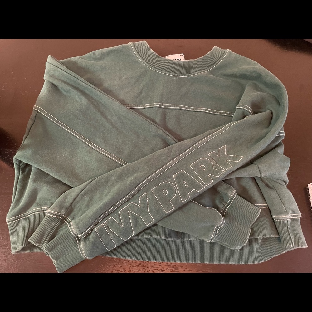 Ivy park crop top sweater